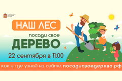 До начала акции «Наш лес. Посади свое дерево» осталось 4 дня!