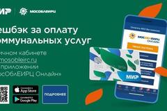 Жители Подмосковья в качестве кэшбека получили 5 млн. руб.